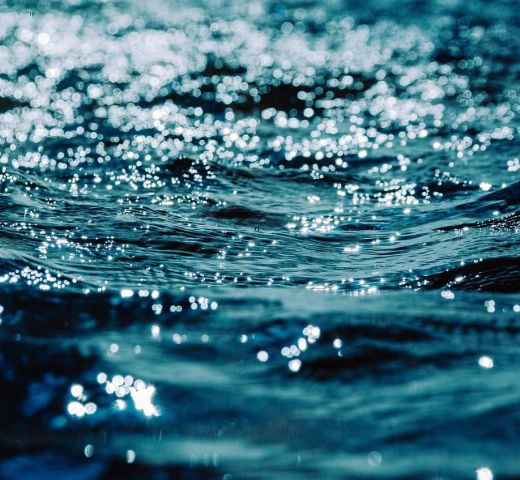 Les défis de l’eau révèlent des conférenciers engagés