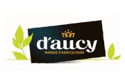 D'aucy